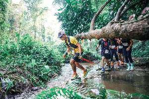 BIB: 
                            <button type="button" onclick="openModal(25457034)" class="btn btn-primary btn-sm float-right btn-popup" data-toggle="modal" data-target=".modal-high-quality">
                        <i class="fas fa-shopping-cart"></i> Add to Cart
                    </button>
                                            <button type="button" onclick="isThisMe(25457034, true)" class="btn btn-success btn-sm float-right btn-popup btn-isme hidden" data-toggle="tooltip" data-placement="bottom" title="นี่คือรูปของคุณใช่ไหม คลิกที่นี่เพื่อเอาเข้าอัลบั้ม">
                        <i class="fas fa-plus"></i> Add to album
                    </button>
                    <button type="button" onclick="isThisMe(25457034, false)" class="btn btn-warning btn-sm float-right btn-popup btn-isnotme hidden">
                        <i class="fas fa-ban"></i> Remove from album
                    </button>